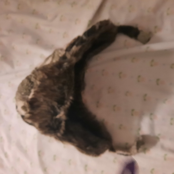 Boys Winter Hat - Picture 2 of 5